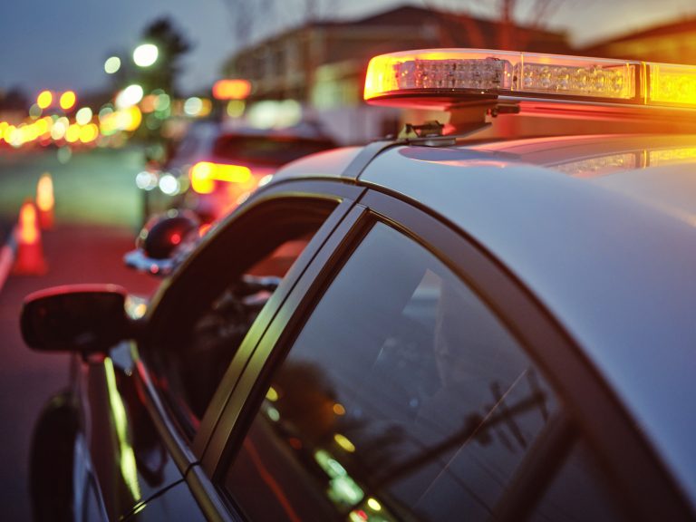 Children Are ‘Doing Well’ After Fugitive Father Was Shot in New Zealand, Authorities Say