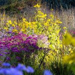 3 easy ways to use salt in the garden as a non-toxic and inexpensive alternative to harsh chemicals – it can even deter squirrels