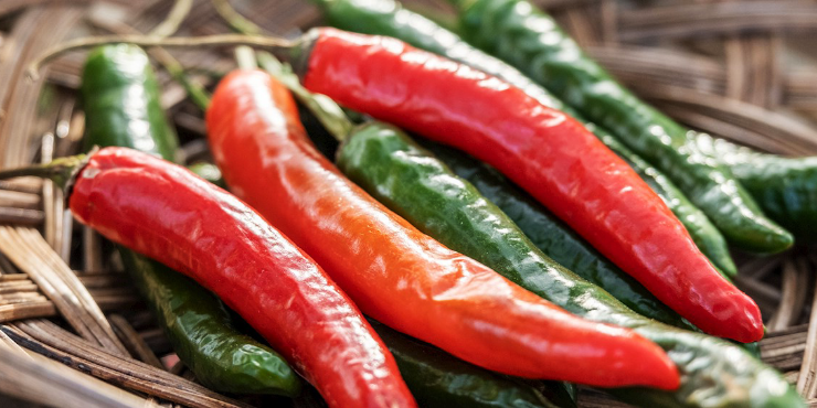 Gochu (Korean Chili Pepper)