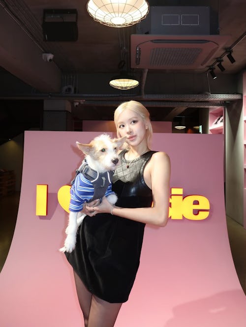 Rosé's LBD Is Almost as Cute as Her Little Dog, Hank
