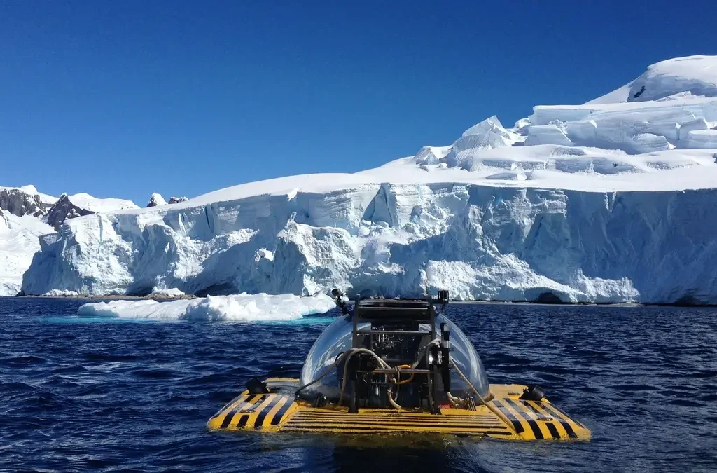 Triton Submarines: Redefining Luxury Beneath the Surface
