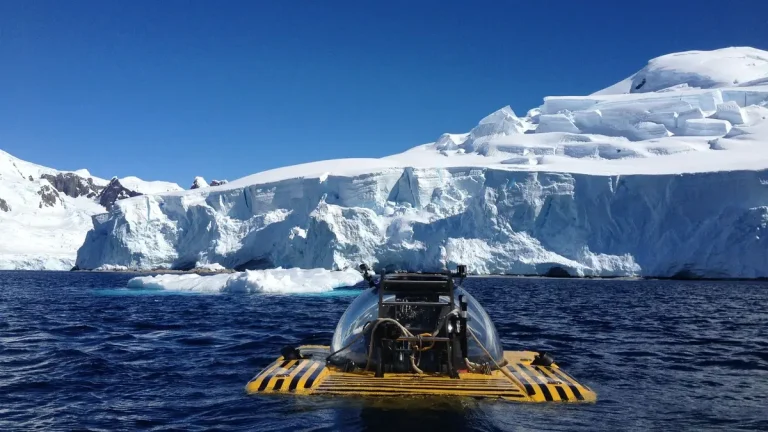 Triton Submarines: Redefining Luxury Beneath the Surface