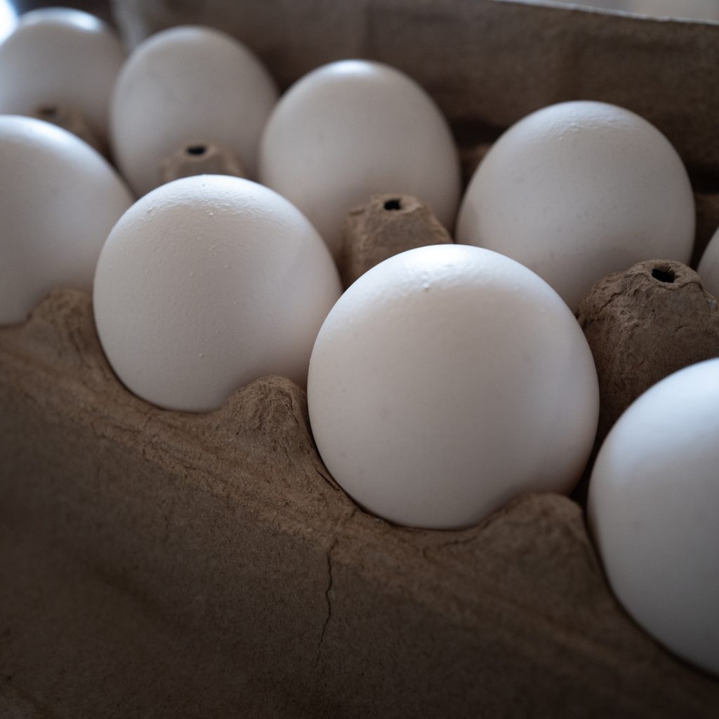 TikTok’s Viral Frozen Egg Trend Just Drew Serious Warnings From the FDA and USDA