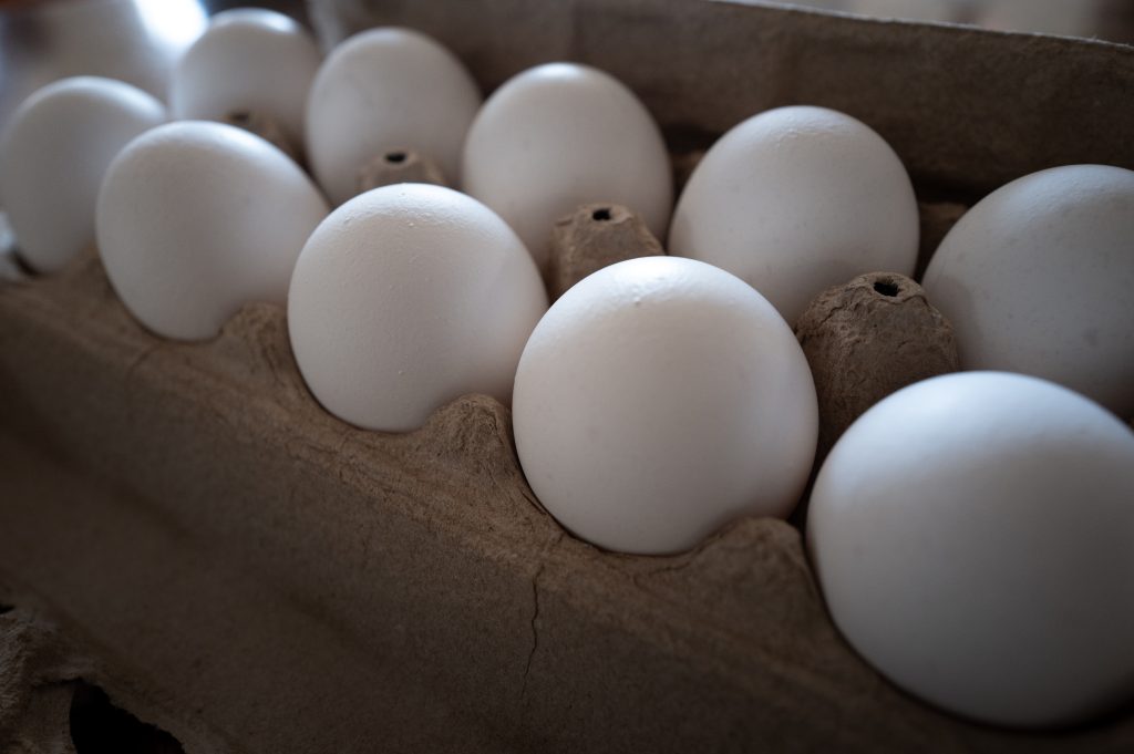 TikTok’s Viral Frozen Egg Trend Just Drew Serious Warnings From the FDA and USDA