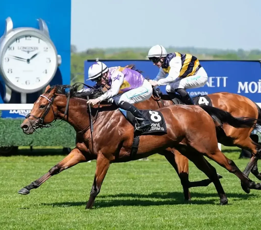 The Royal Race Returns: Everything You Need to Know About Ascot 2026