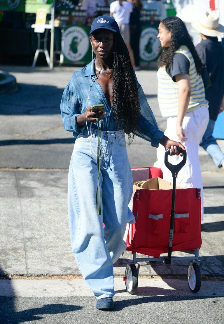 Jodie Turner-Smith Puts a Daring Sheer Spin on the Classic Plaid Top