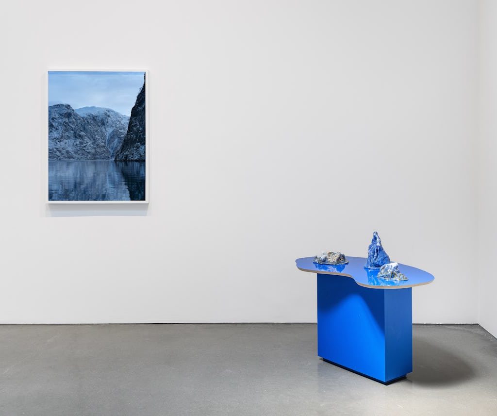 With 5 New Photo Shows, Catherine Opie Enters the Culture Wars Once More